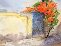 Sadia Arif, 11 x 15 Inch, Water Color on Paper, Floral Painting, AC-SAD-012